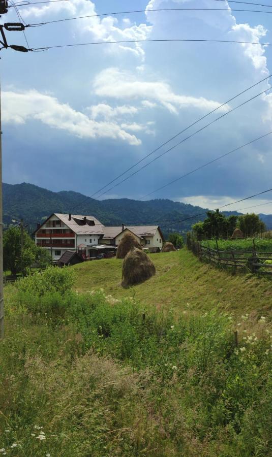 Casa De Vacanta Perla Colibitei Colibiţa 外观 照片