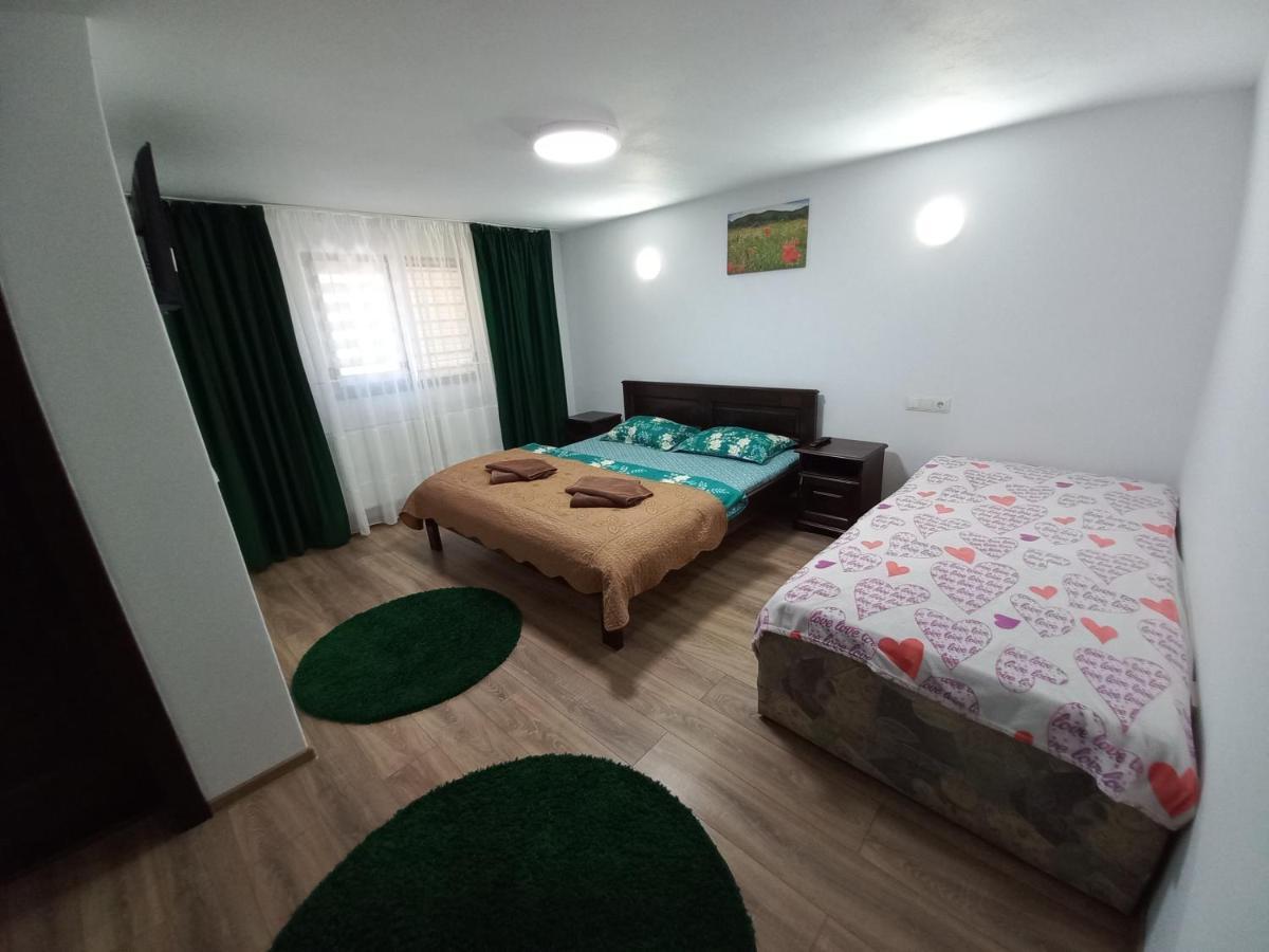 Casa De Vacanta Perla Colibitei Colibiţa 外观 照片