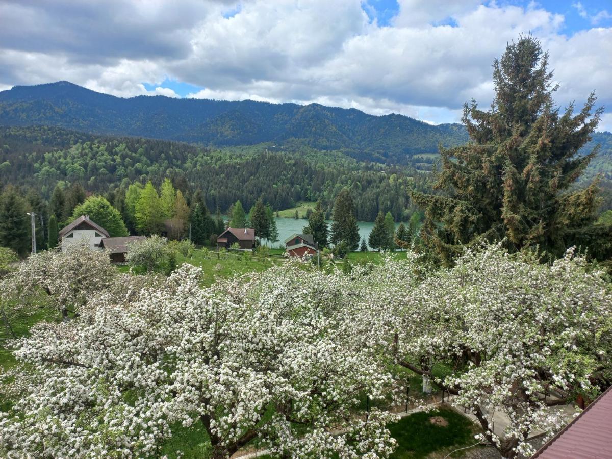 Casa De Vacanta Perla Colibitei Colibiţa 外观 照片